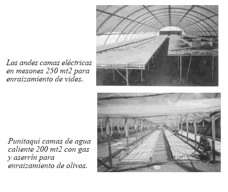 e2.gif