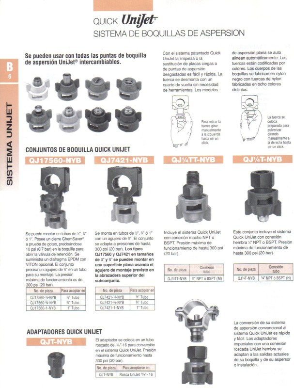 B6